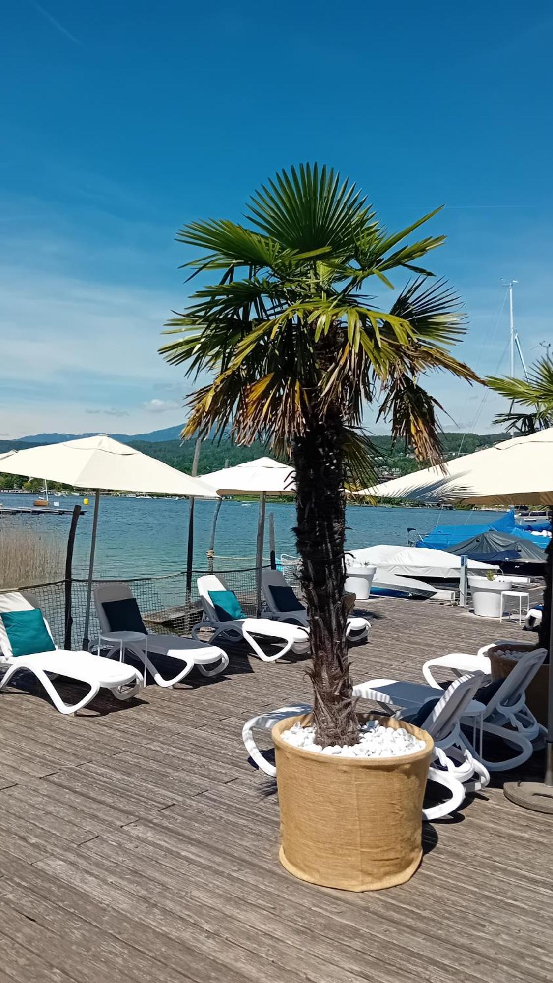 Tennis & Yacht Hotel Velden Velden am Wörthersee Εξωτερικό φωτογραφία